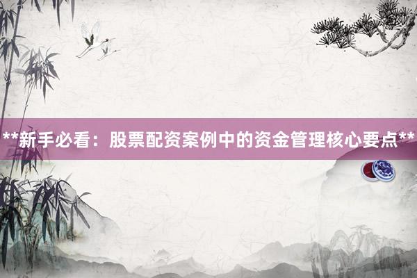 **新手必看：股票配资案例中的资金管理核心要点**