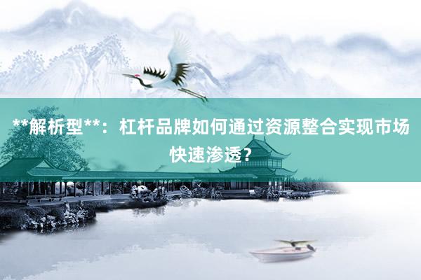 **解析型**：杠杆品牌如何通过资源整合实现市场快速渗透？