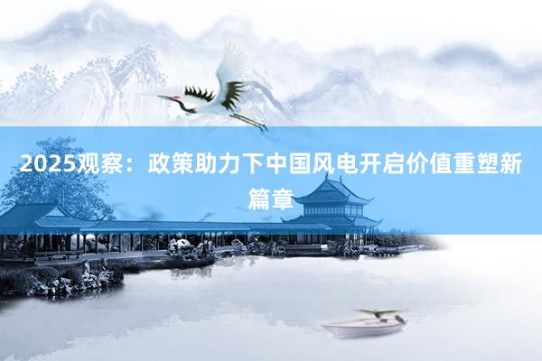 2025观察：政策助力下中国风电开启价值重塑新篇章