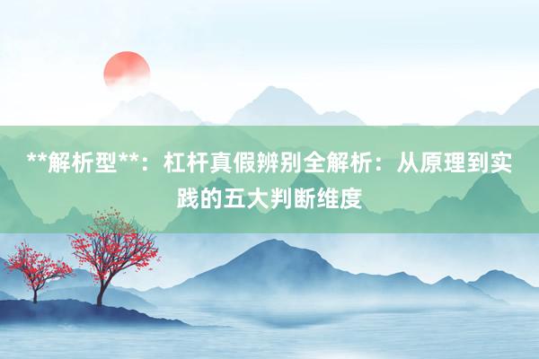 **解析型**：杠杆真假辨别全解析：从原理到实践的五大判断维度