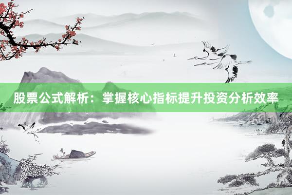 股票公式解析：掌握核心指标提升投资分析效率