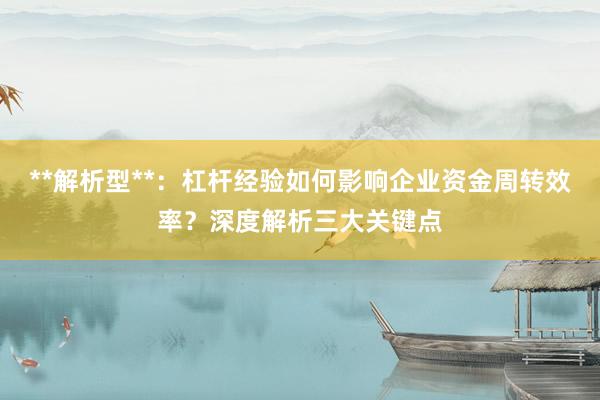 **解析型**：杠杆经验如何影响企业资金周转效率？深度解析三大关键点