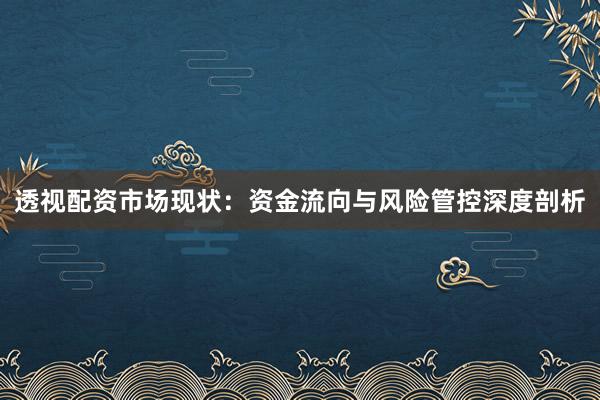 透视配资市场现状：资金流向与风险管控深度剖析