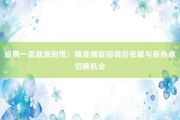 股票一卖就涨别慌！精准捕捉回调后低吸与新热点切换机会
