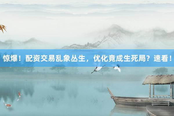 惊爆！配资交易乱象丛生，优化竟成生死局？速看！