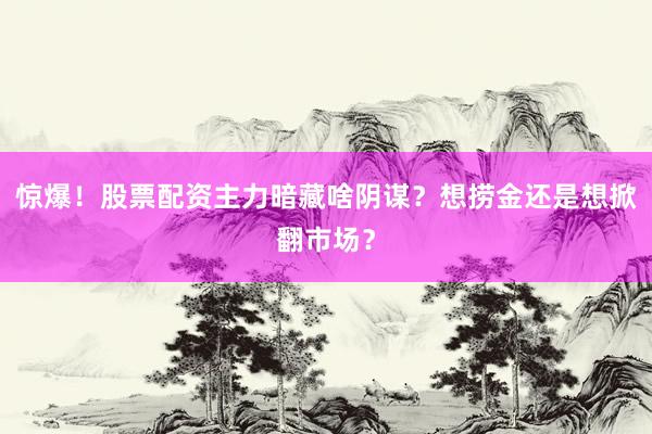 惊爆！股票配资主力暗藏啥阴谋？想捞金还是想掀翻市场？