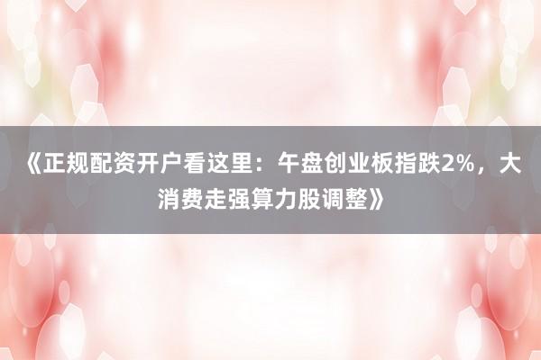 《正规配资开户看这里：午盘创业板指跌2%，大消费走强算力股调整》